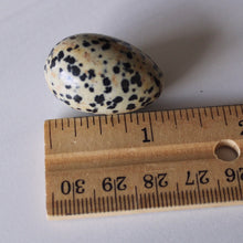 Load image into Gallery viewer, Dalmatian Jasper Mini Egg