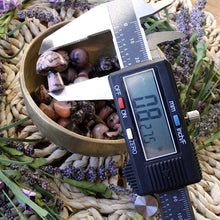 Load image into Gallery viewer, Rhodonite Mini Mushroom