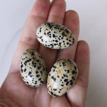 Load image into Gallery viewer, Dalmatian Jasper Mini Egg