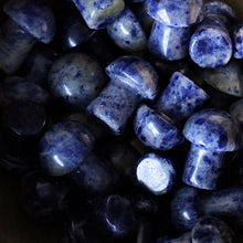 Load image into Gallery viewer, Sodalite Mini Mushroom