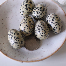 Load image into Gallery viewer, Dalmatian Jasper Mini Egg