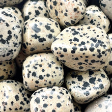 Load image into Gallery viewer, Dalmatian Jasper Tumbled Stone