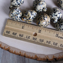 Load image into Gallery viewer, Dalmatian Jasper Acorn