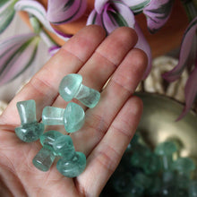 Load image into Gallery viewer, Fluorite Mini Mushroom