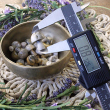 Load image into Gallery viewer, Crazy Lace Agate Mini Mushroom