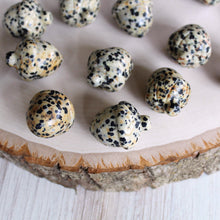 Load image into Gallery viewer, Dalmatian Jasper Acorn