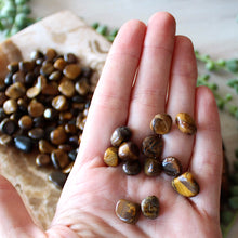 Load image into Gallery viewer, Tiger's Eye Tumbled Chips (xs) 4oz bag