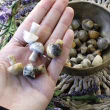 Load image into Gallery viewer, Crazy Lace Agate Mini Mushroom