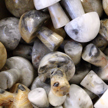 Load image into Gallery viewer, Crazy Lace Agate Mini Mushroom