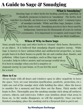 Load image into Gallery viewer, California White Sage 4" Bundle