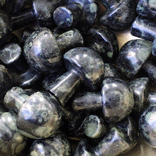 Load image into Gallery viewer, Kambaba Jasper Mini Mushroom