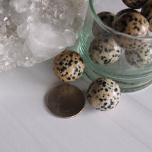Load image into Gallery viewer, Dalmatian Jasper Mini Sphere