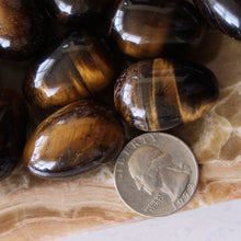 Load image into Gallery viewer, Tiger's Eye Mini Egg