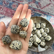 Load image into Gallery viewer, Dalmatian Jasper Tumbled Stone
