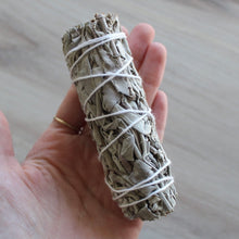 Load image into Gallery viewer, California White Sage 4" Bundle