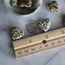 Load image into Gallery viewer, Dalmatian Jasper 20mm Heart
