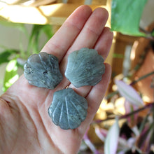 Load image into Gallery viewer, Labradorite Seashell Carving