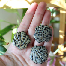 Load image into Gallery viewer, Dalmatian Jasper Seashell Carving