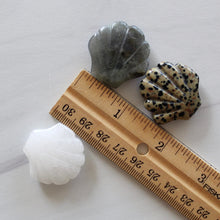 Load image into Gallery viewer, Dalmatian Jasper Seashell Carving