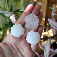 Load image into Gallery viewer, Quartz Seashell Carving