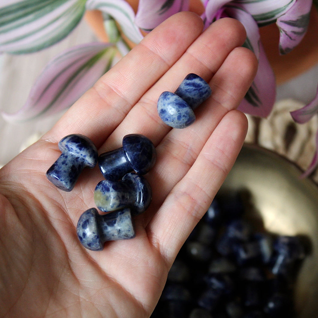 Sodalite Mini Mushroom