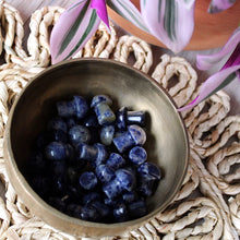 Load image into Gallery viewer, Sodalite Mini Mushroom
