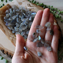 Load image into Gallery viewer, Labradorite Tumbled Chips (xs) 4oz bag
