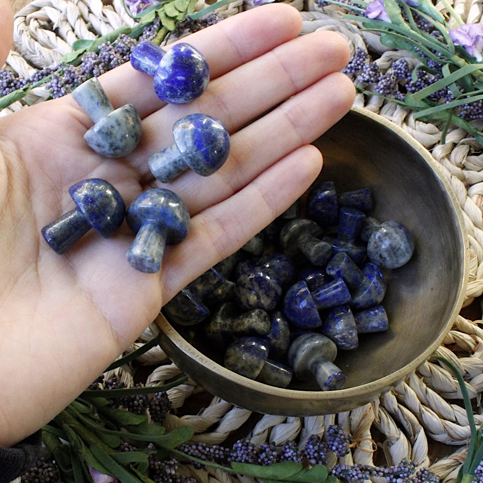 Lapis Lazuli Mini Mushroom