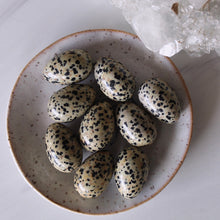 Load image into Gallery viewer, Dalmatian Jasper Mini Egg
