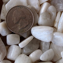 Load image into Gallery viewer, White Moonstone Tumbled Chips (xs) 4oz bag
