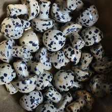 Load image into Gallery viewer, Dalmatian Jasper Mini Mushroom
