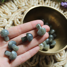 Load image into Gallery viewer, Labradorite Mini Mushroom
