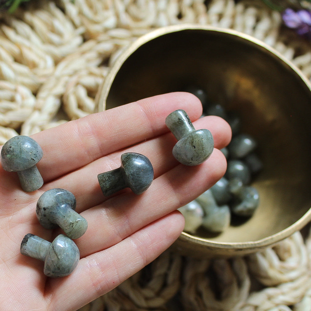 Labradorite Mini Mushroom