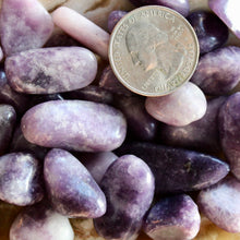 Load image into Gallery viewer, Lepidolite Tumbled Chips (xs) 4oz bag
