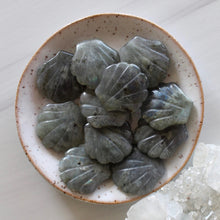 Load image into Gallery viewer, Labradorite Seashell Carving
